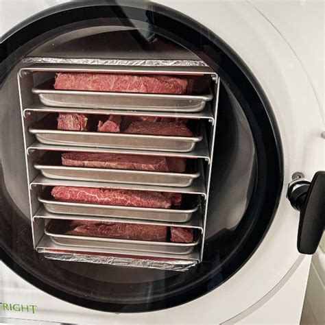 dry meat with clothes dryer.